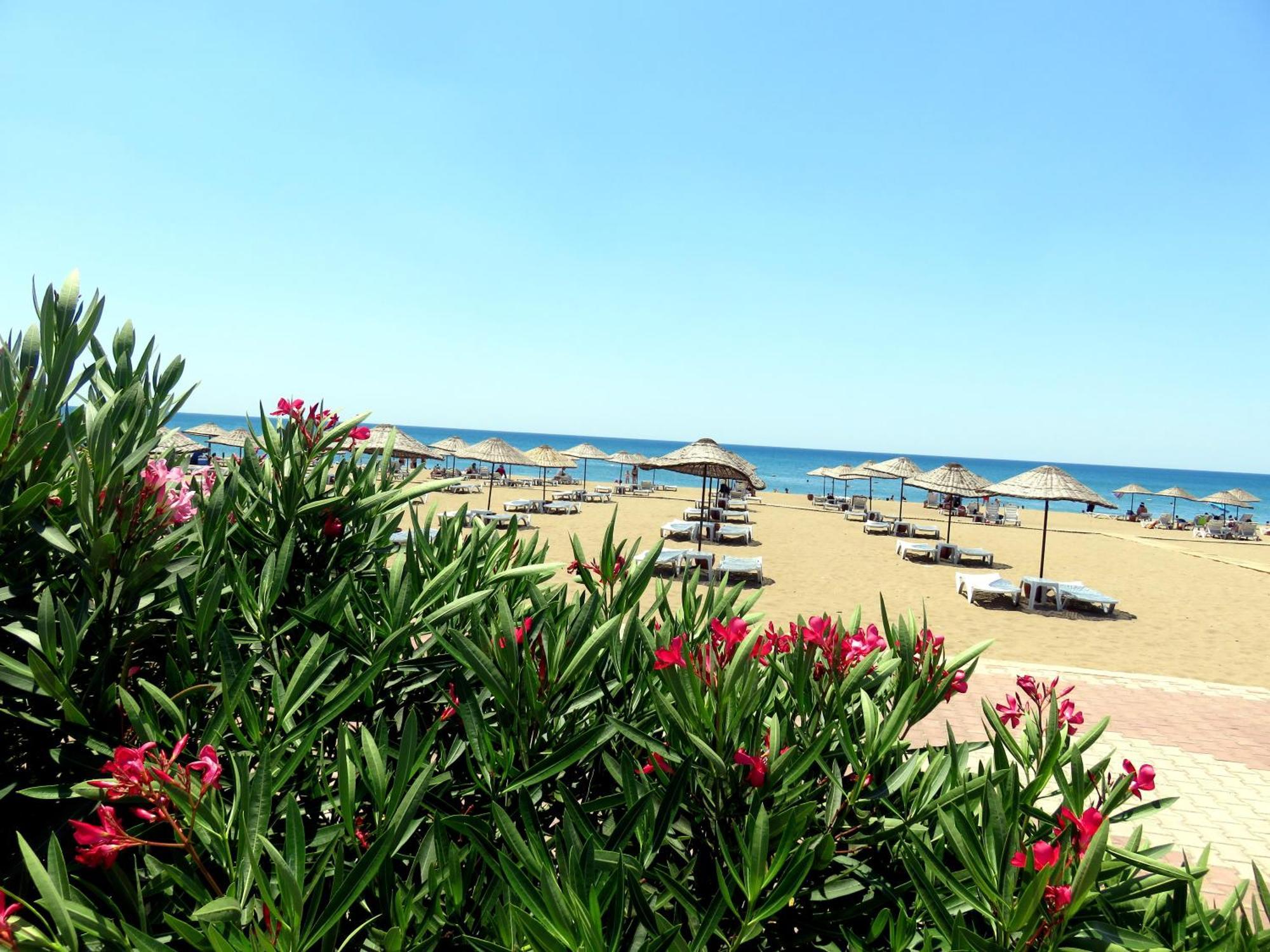 TALYA TURİZM TATİLEVLERİ ve VİLLALARI Belek Ngoại thất bức ảnh