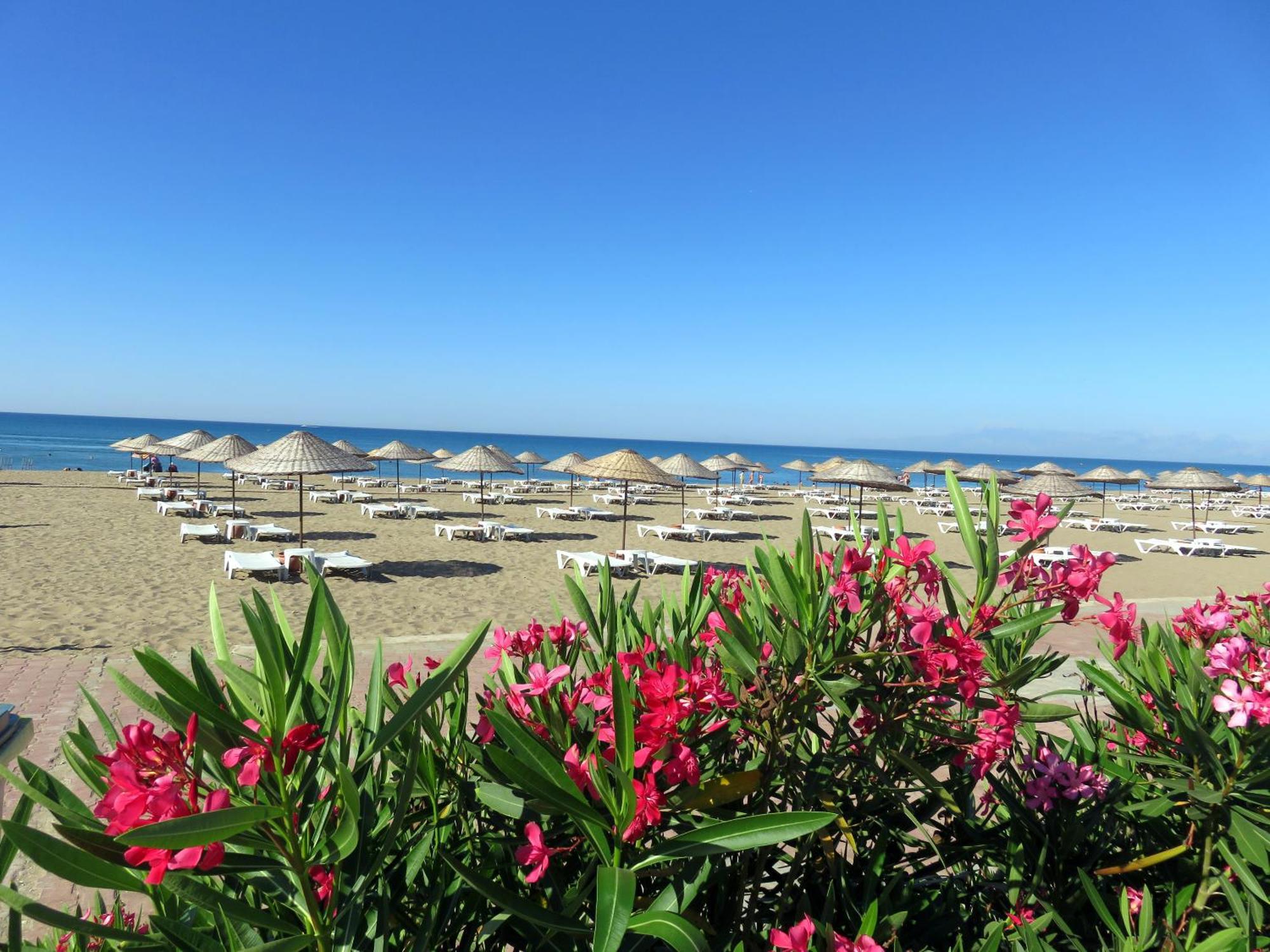 TALYA TURİZM TATİLEVLERİ ve VİLLALARI Belek Ngoại thất bức ảnh